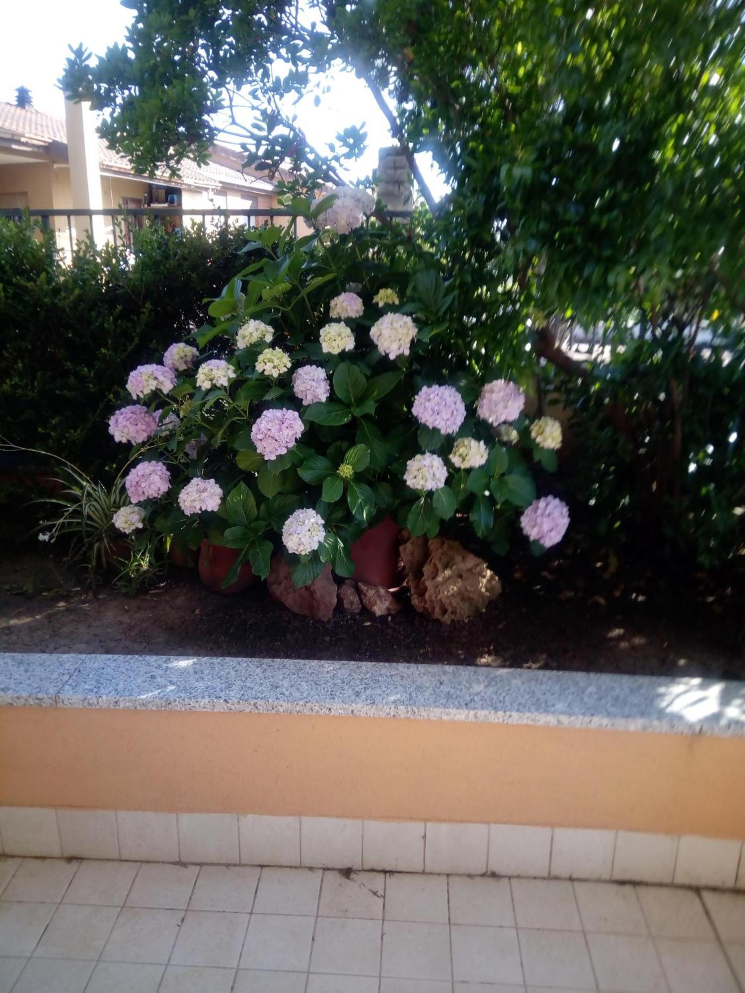 阿尔盖罗Casa Al Mare Con Giardino别墅 外观 照片